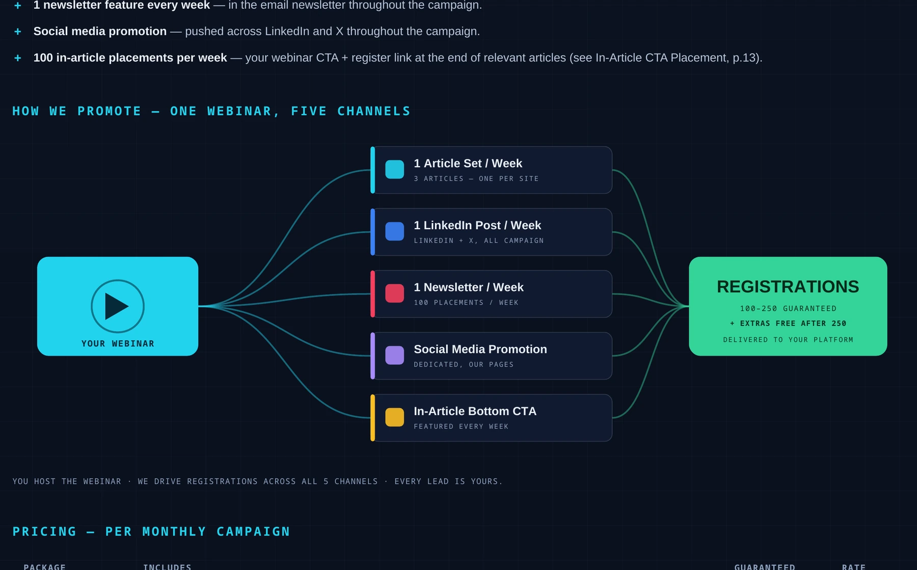 Webinar Campaign campaign placement example from the Cyber Works Research 2026 media kit
